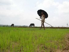 मोदी सरकार ला रही सबसे बड़ी कर्ज माफी योजना, उठाएं फायदा 