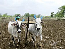 किसानों को कम दाम में मिलेगी खाद, आईएफएफसीओ ने घटाई कीमत