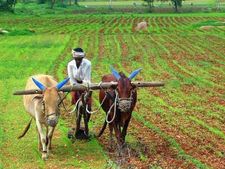 पीएम किसान : 1 लाख लोगों को झटका, खातों से वापस लिया गया पैसा