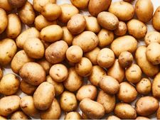 प्याज के बाद रुलाने लगा आलू, 100 फीसदी से ज्यादा बढ़े दाम