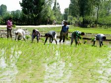 किसानों को Loan देने के लिए अब सैटेलाइट का होगा इस्तेमाल, इस Bank ने शुरू की पहल