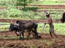 PM Kisan: आज मिलेगी 8.5 करोड़ किसानों को किस्त, चेक करें नाम