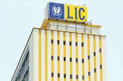 LIC ने दिया बड़ा मौका, दोबारा शुरू करें बंद बीमा पॉलिसियां