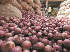 प्याज : सरकार को होने लगी चिंता, लगाई एक्सपोर्ट पर रोक