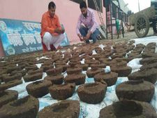 इस द‍िवाली गाय के गोबर से बने इस 12 आइटम से घर सजाएं, जानिए कैसे खरीदें