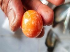 मछुआरे को समुद्र किनारे मिला दुर्लभ ऑरेन्ज मोती, करोड़ों में है कीमत