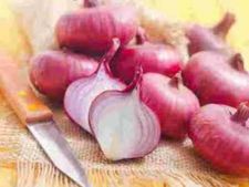 Business Plan : प्याज कराएगी लाखों रु की कमाई, नौकरी करने की नहीं रहेगी जरूरत