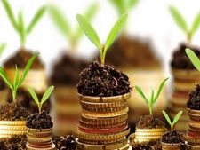 Business Idea : कृषि से जुड़े ये 7 कारोबार बरसा सकते हैं पैसा, जानिए कैसे करें शुरू