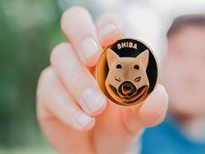 Cryptocurrency : 2021 के जाते-जाते शीबा इनु ने Bitcoin को छोड़ा पीछे, इस मामले में निकली आगे