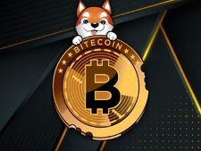 Bitecoin : हफ्ते भर में दिया करोड़ों फीसदी रिटर्न, 100 रु को बना दिया 8.57 करोड़ रु