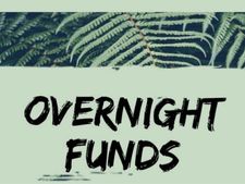 Overnight Funds : सोते-सोते होगा मुनाफा, 24 घंटे आएगा पैसा