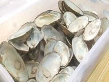 Business Idea : हर महीने लाखों की कमाई करा सकता है ये कारोबार