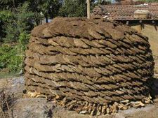 गाय के गोबर से कमाएं पैसा, कई तरीकों से कर सकते हैं Business