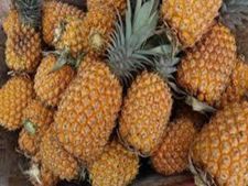 ये है दुनिया का सबसे महंगा Pineapple, जानिए इसकी कीमत और खासियत