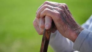 Tips & Tricks : वरिष्ठ नागरिकों के लिए टॉप 5 बेस्ट निवेश प्लान, रहेगा पैसा ही पैसा