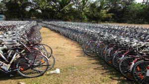 UP Government Scheme : free में मिल रही साइकिल, जानिए कैसे लें