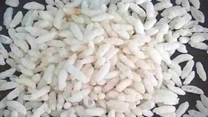 Business Idea : मुरमुरे बना सकते हैं मालामाल, हर महीने आएंगे लाखों रु