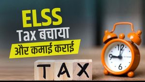 Top 5 Tax Plan: 3 साल में पैसा किया 4 गुना, हुए अमीर