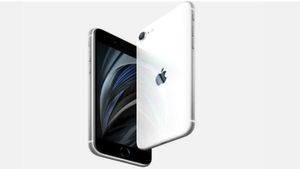 Apple का पहला स्टोर मुंबई और दूसरा दिल्ली में खुलेगा, जानिए डिटेल     