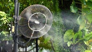 Water Spray Fan : गर्मी में देता है AC जैसी हवा, जानिए अन्य खूबियां