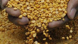 Inflation: टमाटर के बाद अब दाल की भी बढ़ सकती है कीमत