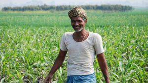 Farmers Schemes : किसानों के लिए ये 5 शानदार सरकारी योजनाएं, जानिए नाम     