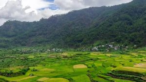 IRCTC Ooty Tour Package : सस्ते में घूमने का मौका, जानिए पैकेज डिटेल
