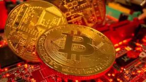 Bitcoin: देखते ही देखते पैसा किया डबल, जानिए कैसे हुआ