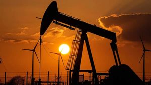 Crude Oil हुआ सस्ता, क्या इस दिवाली में घटेंगे पेट्रोल व डीजल के दाम