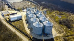 Ethanol Production: मक्के से होगी किसानों की खूब कमाई, एथेनॉल प्रोडक्शन में मददगार 