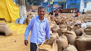 छत्तीसगढ़ में किसानों को मिला 2 साल का बोनस, चेहरे पर छाई मुस्कान