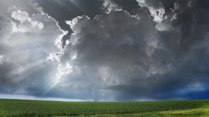Weather Update: उत्तर भारत में बढ़ा ठंड का प्रकोप, कई राज्यों में बारिश के आसार 