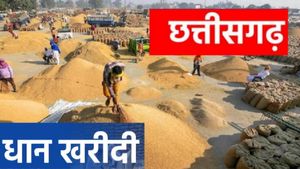  छत्तीसगढ़ में धान की खरीदी जारी, अब तक 115.94 लाख मीट्रिक टन की खरीद 