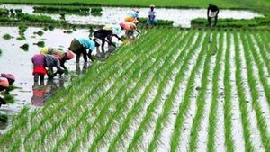 ओडिशा में किसानों को खेती की नई तकनीक की मिलेगी शिक्षा, आयोजित किया जाएगा पानी पखवाड़ा 