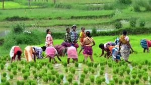 AP: 14 साल में 2 बच्चों की मां बनने वाली मीराबी ने किसानों की बदली किस्मत, उनकी खेती ने दुनिया में बनाई पहचान