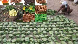 ओडिशा: पटनायक सरकार ने लघु वन उपज के लिए एमएसपी और जनजातीय भाषा आयोग गठन के लिए दी मंजूरी 