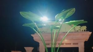 राम मंदिर उद्घाटन से पहले सोलर ट्री की दूधिया रोशनी से जगमग हुआ अयोध्या, पार्कों-घाटों की बढ़ी खूबसूरती