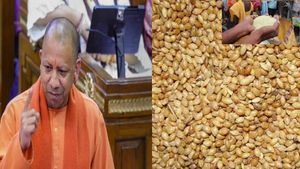 यूपी में गेंहू -चावल के साथ अब योगी सरकार मुफ्त में देगी बाजरा भी 