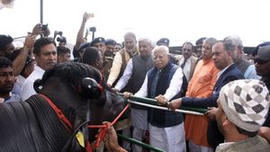 Haryana News: हरियाणा सरकार 1000 पशुओं की गौशाला खोलने पर शेड के लिए देगी 70 लाख रुपए, जानिए पूरी योजना