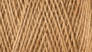 Farming Business Idea: जूट की खेती करके कमा सकते हैं जबरदस्त प्रॉफिट, जानें तरीके 