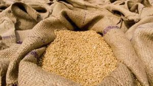 Antyodaya Ration Card से मिलता है मुफ्त में गेहूं और चावल, जानें कैसे बनेगा आपका राशन कार्ड 