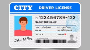 घर बैठे ऑनलाइन मिल जाएगा Driving Licence, स्मार्ट कार्ड के लिए नहीं करना होगा वेट  