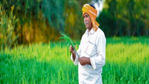 PM Fasal Bima Yojana : किसानों को मिलेगी खुसखबरी, जानिए कैसे करवा सकते हैं अपनी फसल का इंश्योरेंस 