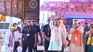 छत्तीसगढ़ के CM  विष्णुदेव साय की घोषणा, तेंदूपत्ता संग्राहकों के लिए नयी सामाजिक सुरक्षा योजना होगी प्रारंभ 