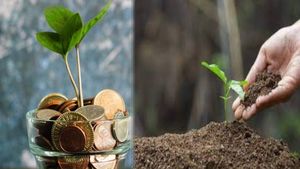 हरियाणा सरकार ने शुरू की वन मित्र योजना,  पौधारोपण करने पर मिलेगा पैसा      