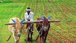 किसानों के लाभ के लिए हरियाणा सरकार का बड़ा कदम, मेरी माटी मेरा देश पर कार्यशाला-प्रदर्शनी का आयोजन