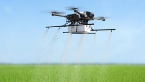 Drone Didi Scheme: कैसें करें ड्रोन दीदी स्कीम में अप्लाई, सरकार से मिलेगी सैलरी और ट्रेनिंग, जानें डिटेल्स