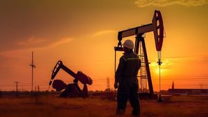 Oil Import Bill: क्रूड ऑयल के बिल में दर्ज की गई 16 प्रतिशत तक की गिरावट, बढ़ी इंपोर्ट की डिमांड