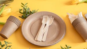 Paper Plate Business: कम लागत में शूरू करें पेपर से प्लेट बनाने का बिजनेस, होगी हर महीने होगी बंपर कमाई