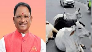 OPINION: छत्तीसगढ़ में शुरू होगी गौवंश अभ्यारण्य योजना, सड़क दुर्घटनों को रोकने CM विष्णुदेव साय ने उठाया कदम 